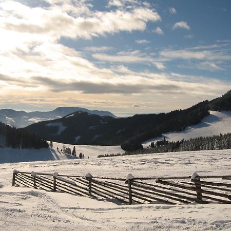 Heidi's Schlummerkiste Breitenau am Hochlantsch Exterior foto