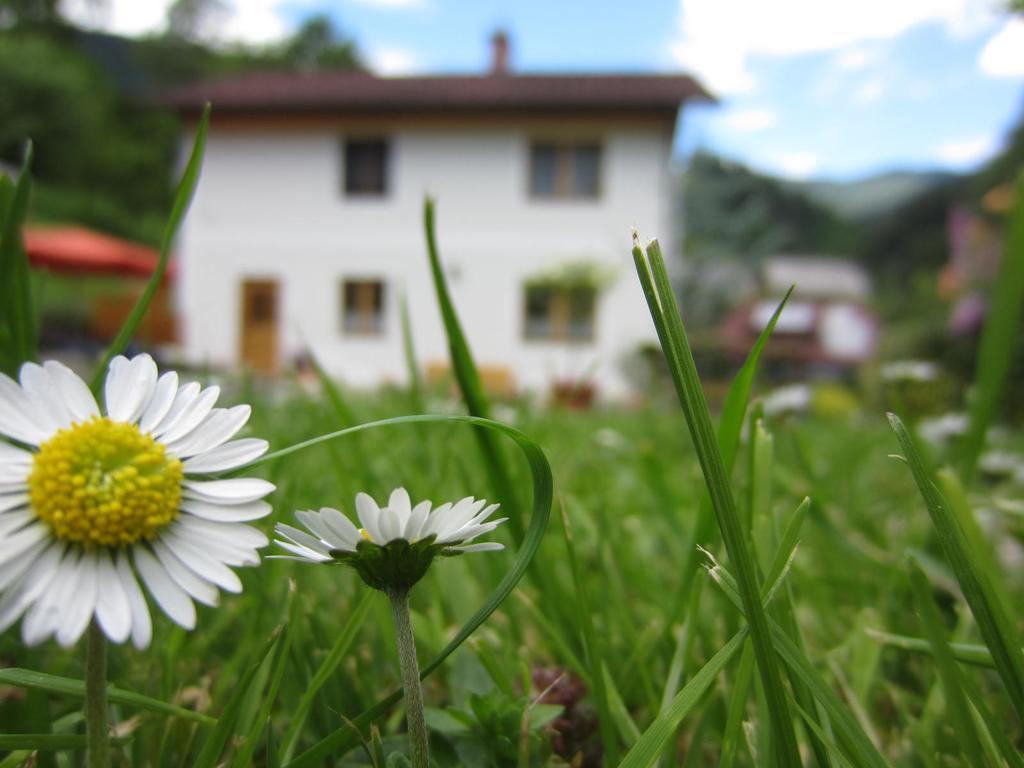 Heidi's Schlummerkiste Breitenau am Hochlantsch Exterior foto