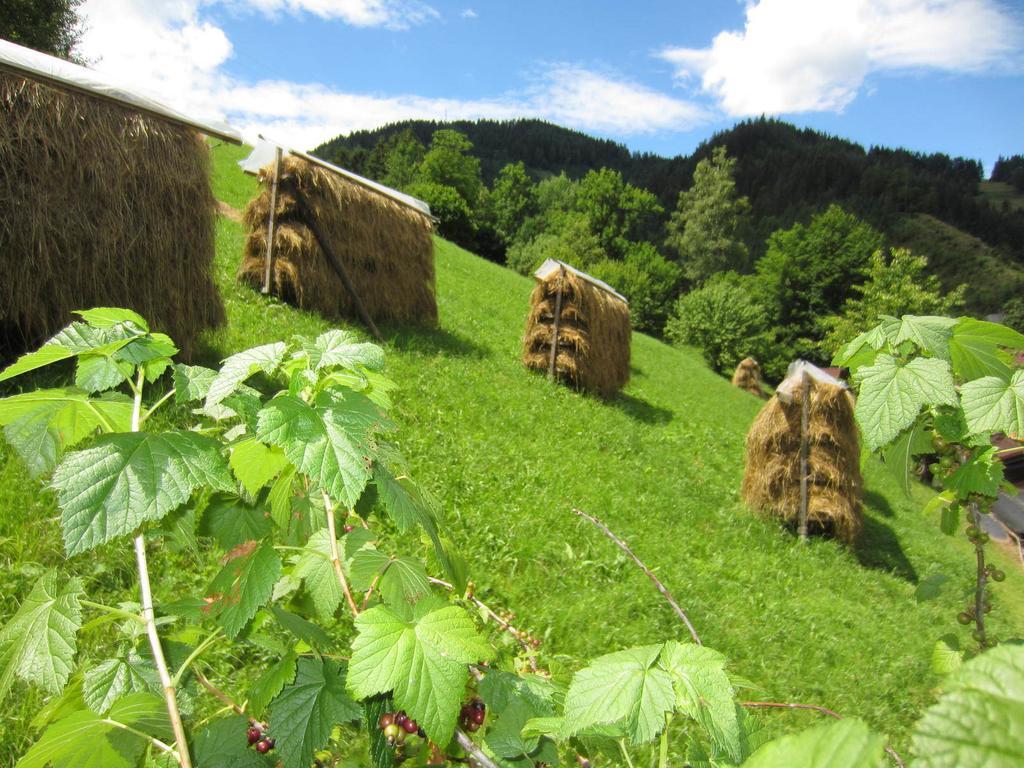 Heidi's Schlummerkiste Breitenau am Hochlantsch Exterior foto